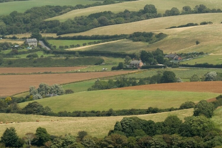green and pleasant land (for now)