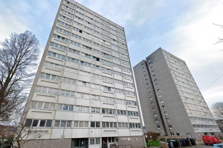 Dudeney Lodge and Nettleton Court are among the towers coming down [image from Google Maps]