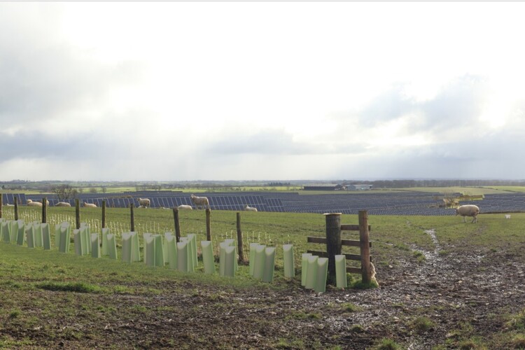 RWE's visualisation of one part of the development a year after installation